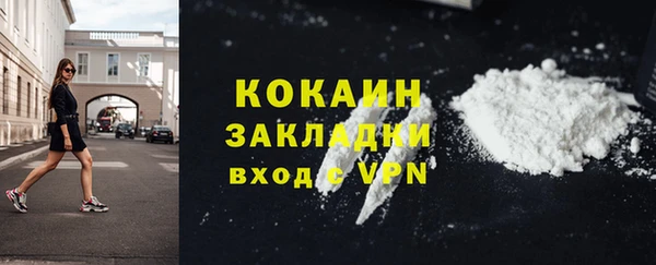 гидра Майский