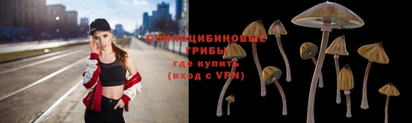 гидра Майский