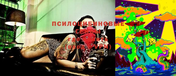 ПСИЛОЦИБИНОВЫЕ ГРИБЫ Медногорск