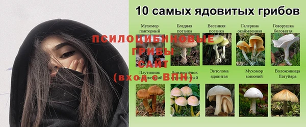 jwh Магас