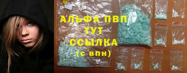 гидра Майский