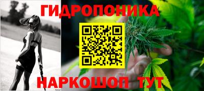 молекула духа Берёзовский