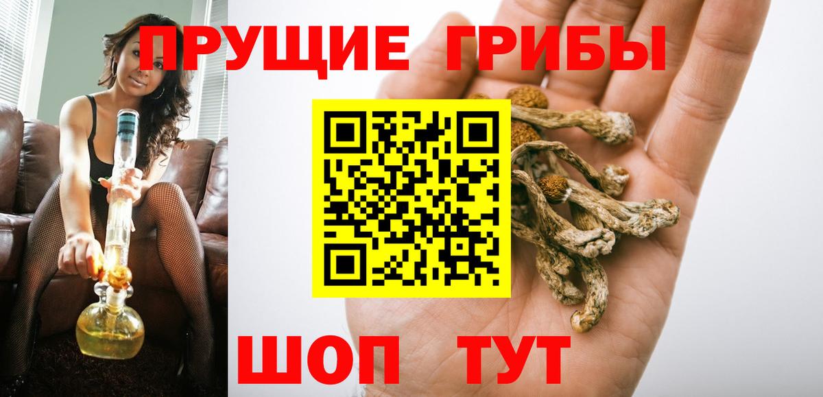 Галлюциногенные грибы Magic Shrooms  Псилоцибиновые грибы прущие грибы  Гуково  Вход с VPN 