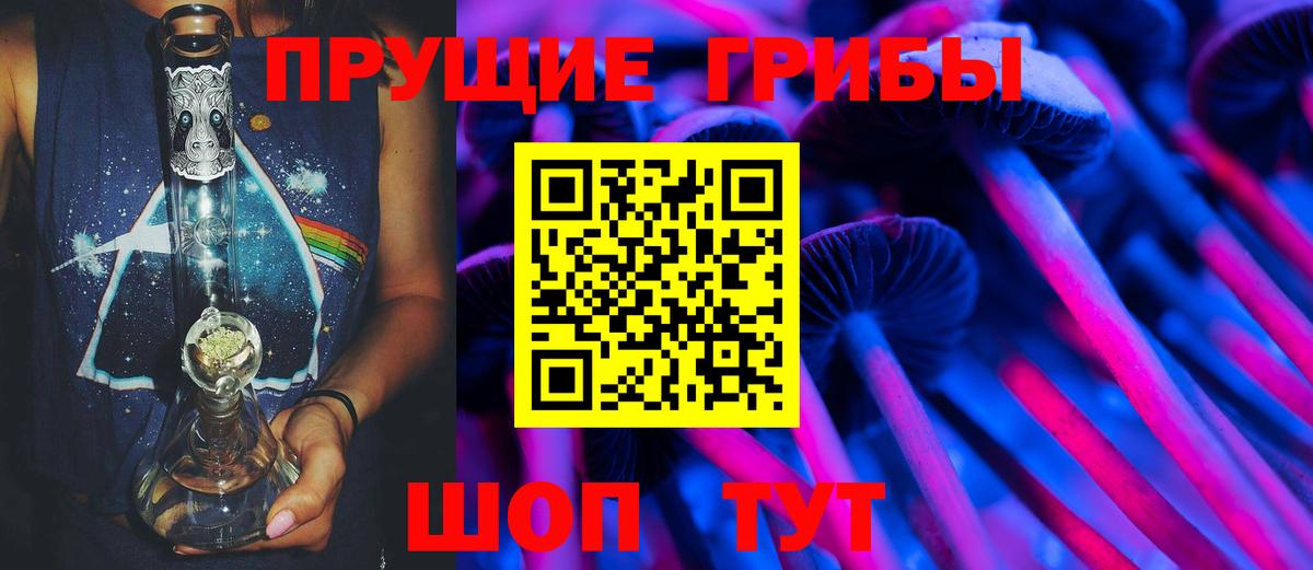 Галлюциногенные грибы Psilocybe Гуково